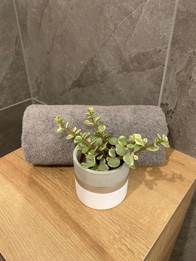 Leonies Appartement 索滕斯 外观 照片